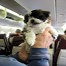 dog on a plane thumbnail