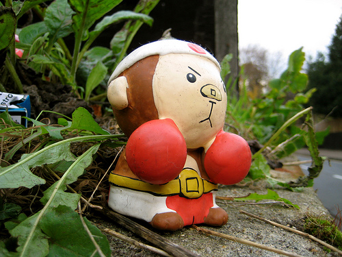 japanese boxing money doll